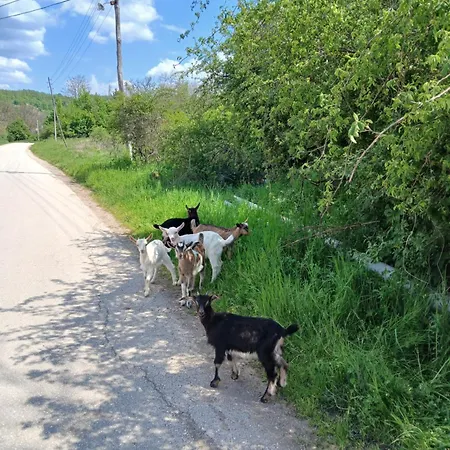 Kuca Za Odmor Casa vacanze