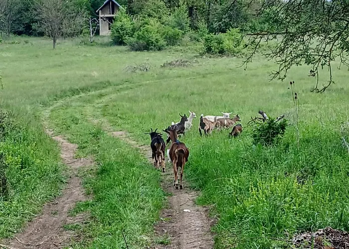 Kuca Za Odmor Tatil Evi
